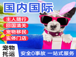 拉萨贡嘎航空空运国际宠物托运 【国